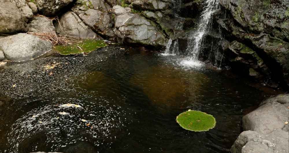Samsun’da Karacaören Şelalesi turist çekiyor