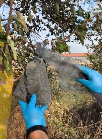 Samsun'da jandarmadan uyuşturucu operasyonu! 2 kilo 355 gram esrar ele geçirdi