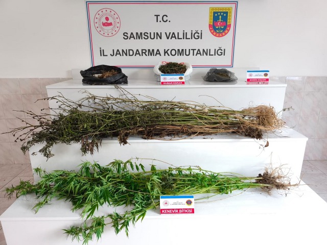 Samsun'da jandarmadan uyuşturucu operasyonu! 2 kilo 355 gram esrar ele geçirdi