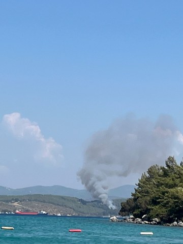 Bodrum'da orman yangını! Rüzgarın etkisiyle büyüdü