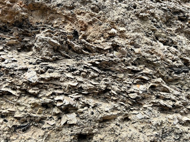 Samsun'daki kazılarda midye kabuklu katmana ulaşıldı