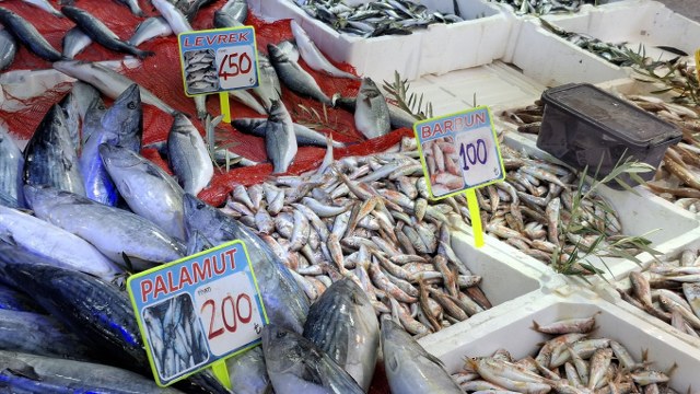 Samsun'da balık tezgahları şenlendi