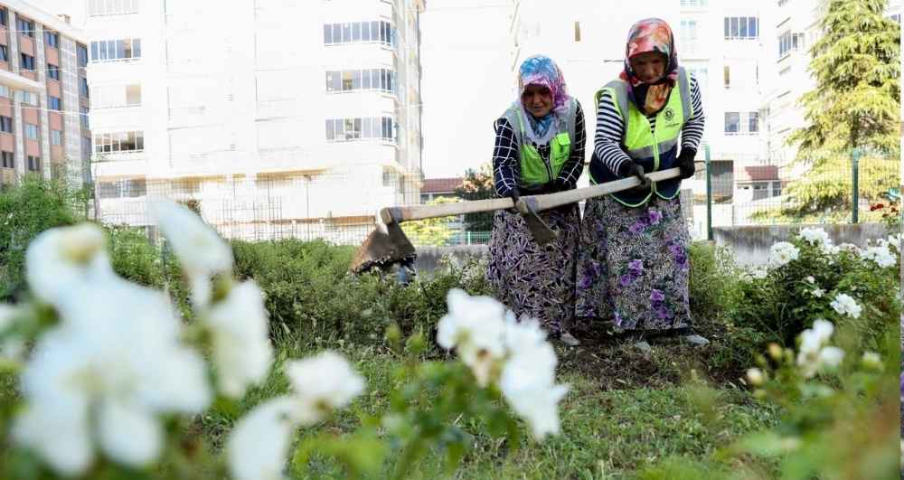 Samsun’un kadınları kenti güzelleştiriyor