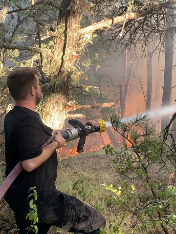 Karabük'te örtü yangını! Ormana sıçradı