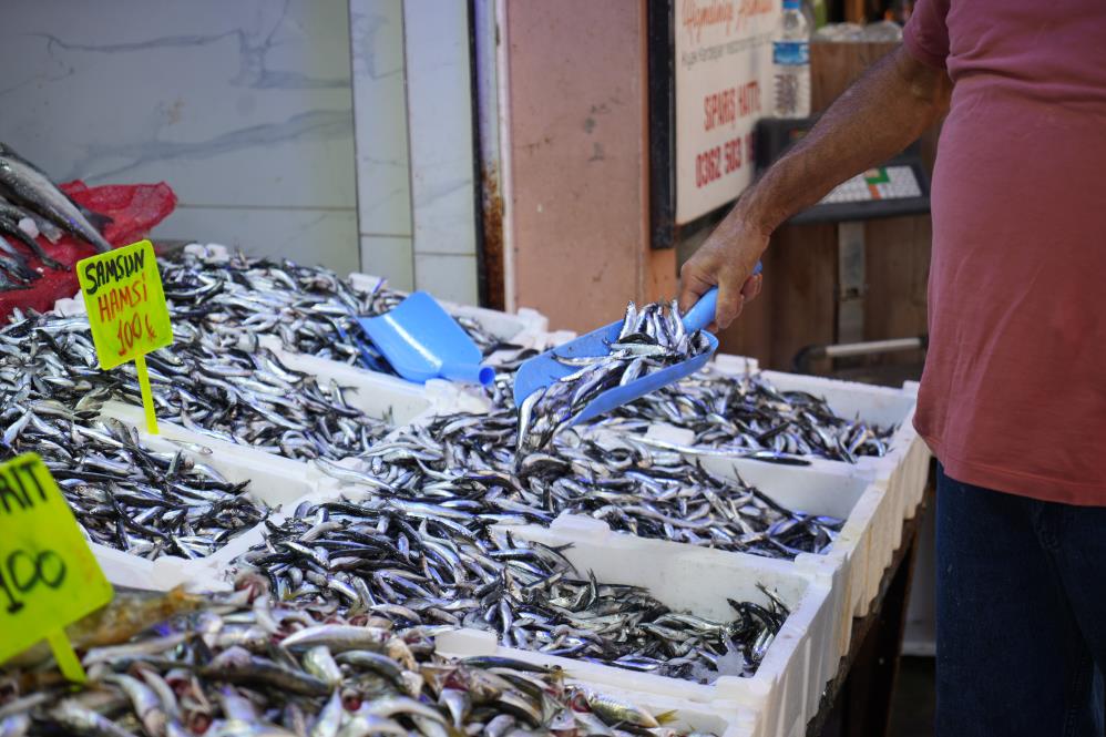  Samsun'da hamsi tezgahlarda yerini aldı! İşte fiyatı 