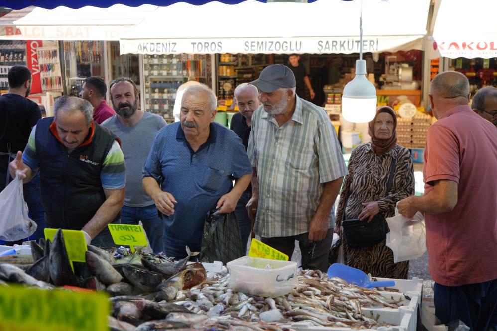  Samsun'da hamsi tezgahlarda yerini aldı! İşte fiyatı 