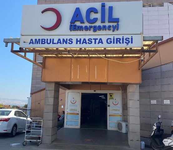 Evinin bahçesinde ağaç kesmeye çalışan adam feci şekilde can verdi