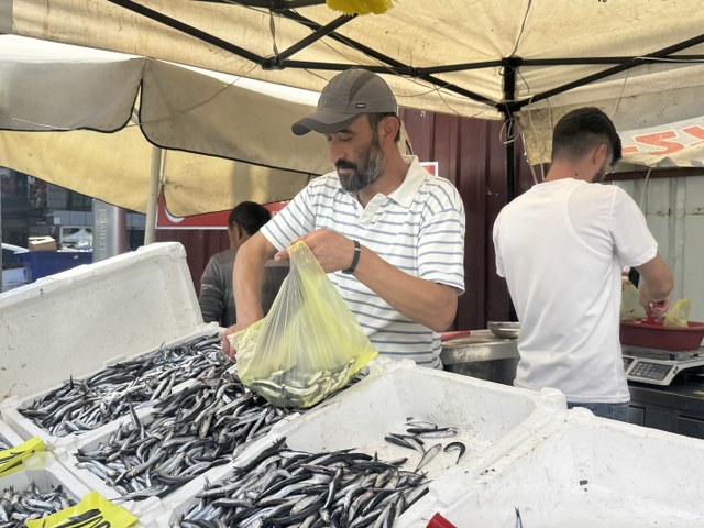 Balıkçı tezgahlarında hamsi bolluğu