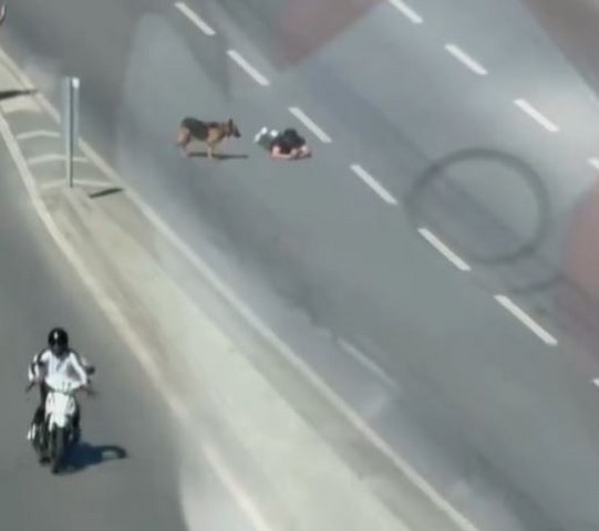 Samsun'da ana yolda sürünerek ilerleyen şahıs görenleri şaşırttı