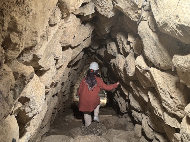 Samsun'da Hititlerin kutsal kenti Nerik'te 3 bin 500 yıllık fındık fosili bulundu