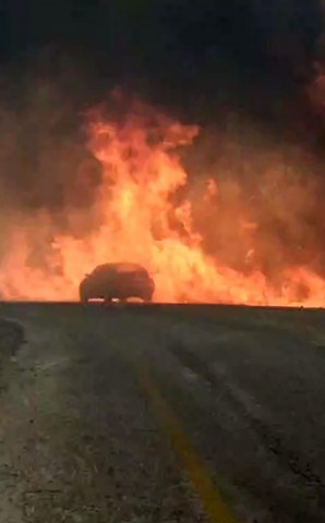 Muğla'da orman yangını