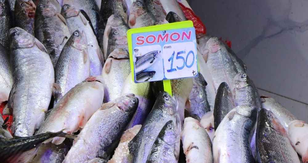 Samsun'da tezgahlarda balık çeşidi arttı; Karadeniz hamsisi de yolda