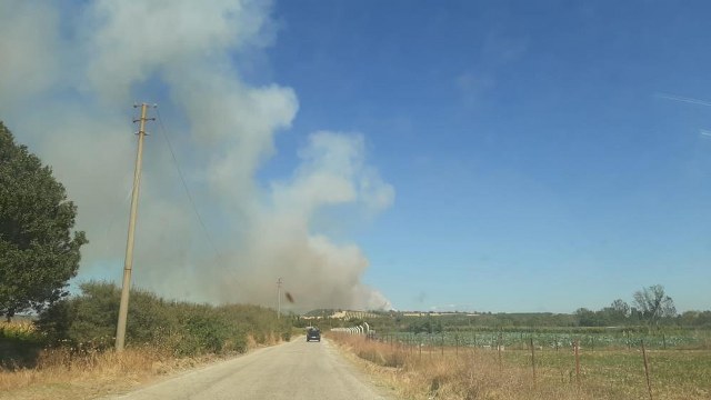 Çanakkale'de orman yangını
