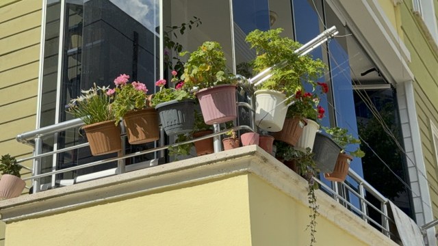 Samsun'da çiçeklere çamaşır suyu dökme kavgası kamerada