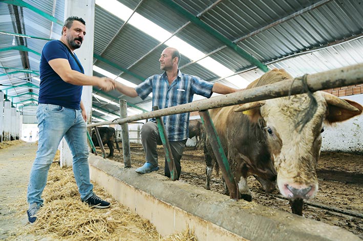 ATAKUM KURBAN PAZARI TAKDİR TOPLUYOR