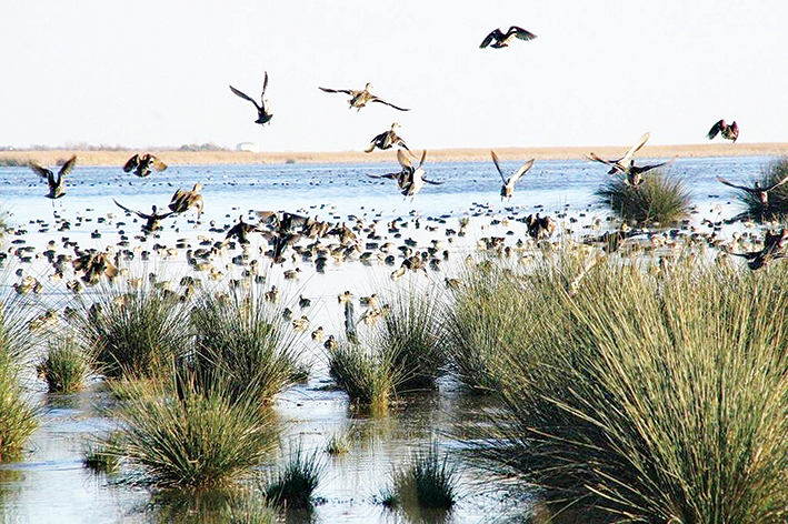 Büyükşehir Belediyesi 2017'de arı gibi çalıştı
