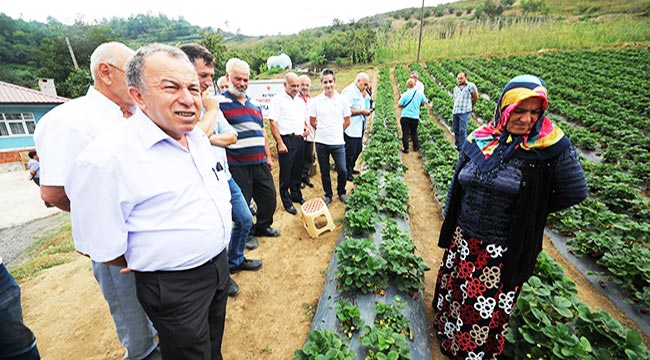 Destekle çilek serası kurdu