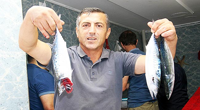 BALIKLAR YENİ SEZONDAN UMUTLU