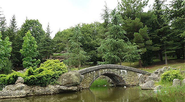 TABİAT PARKLARI TURİZMİ GELİŞTİRECEK