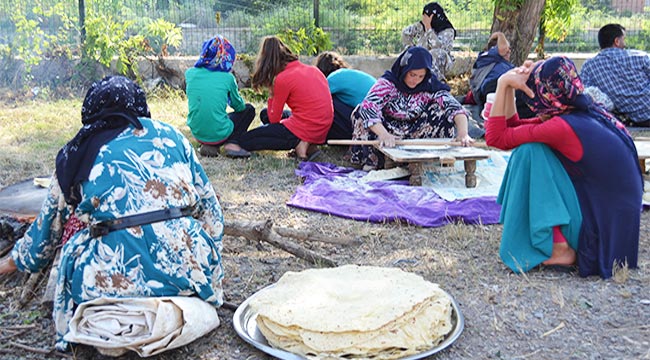 Doğulu fındık işçileri Karadeniz’de