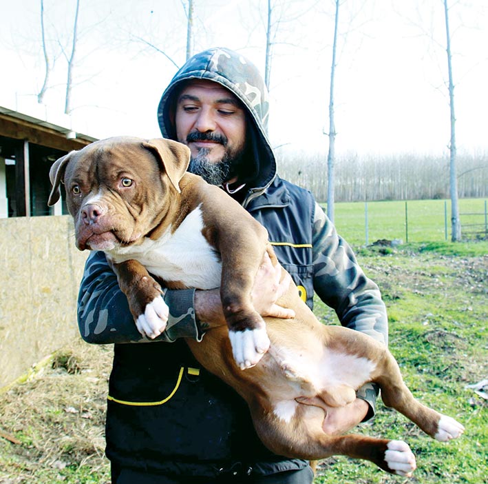 Sadık dostlar itaati okulda öğreniyor
