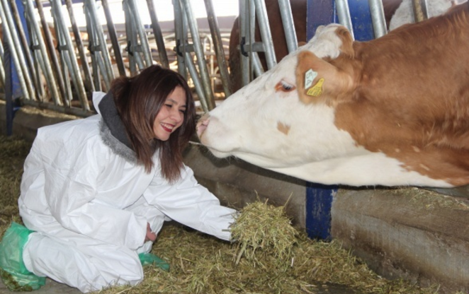 Mühendisliği bıraktı, süt çiftliği kurdu