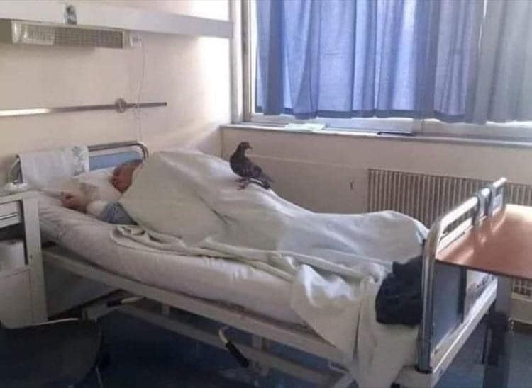 ENFLASYONDA ZENGİNLEŞENLER