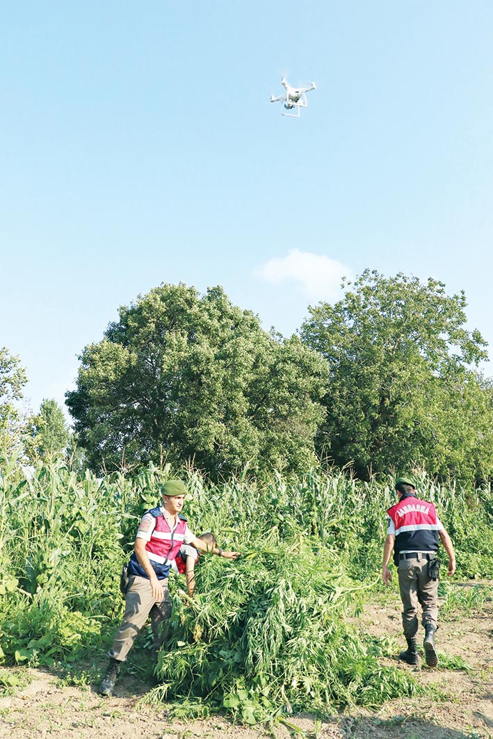 Drone ile havadan kenevir operasyonu