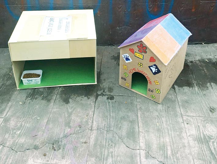 Öğrenciler ‘sokak canlarının yanında’