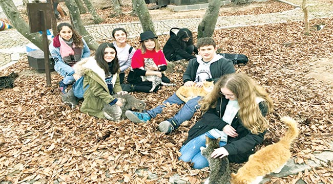 Öğrenciler Kedi Kasabası'nı gezdi