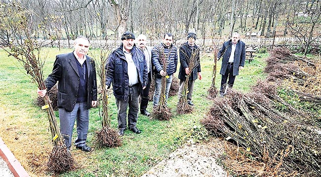 4 ilçede tarıma destek 800 bin TL’yi buldu
