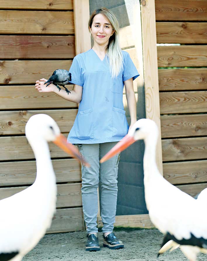 Göçmen kuşların kanatları oldu