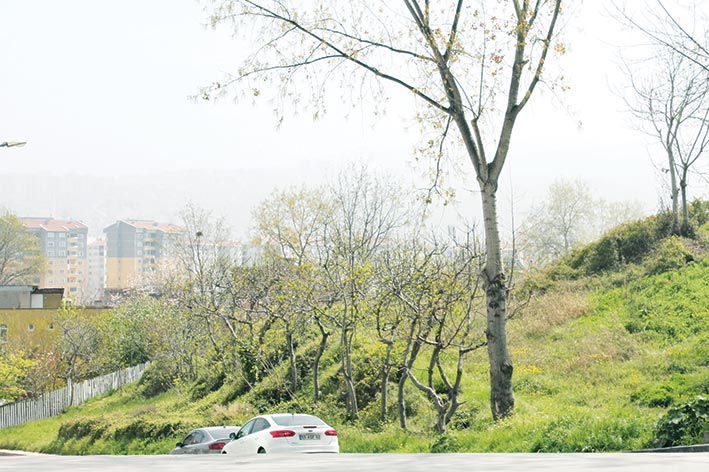 Samsun’daki o höyük tarihi ve hikayesi ile dikkati çekiyor!