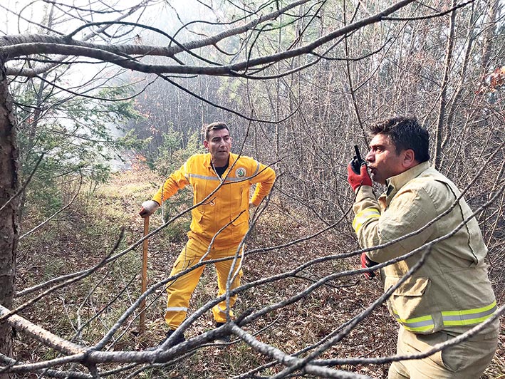 3 hektarlık alan yandı