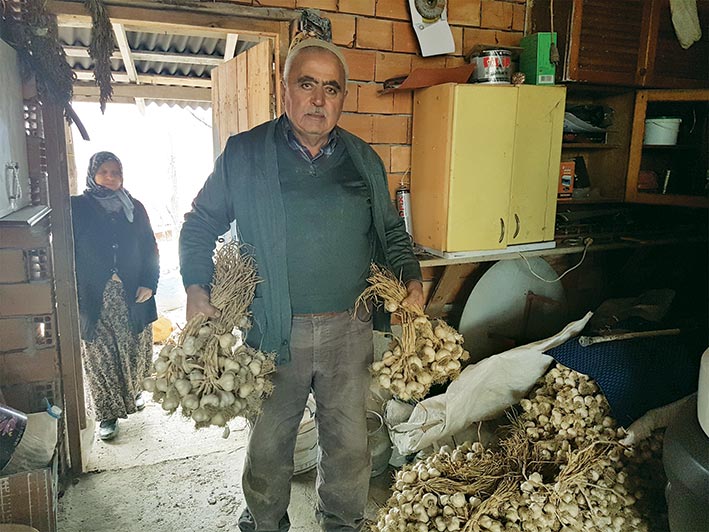 Sarımsak var, rağbet yok