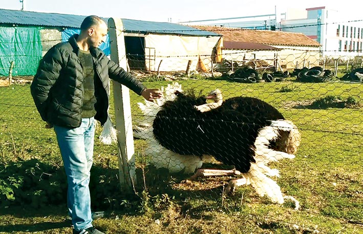 Samsunlu avcı evinin bahçesinde 35 türde hayvan besliyor