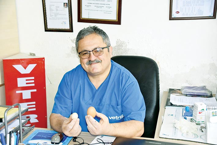 Yumurtlayan horoz şaşırttı