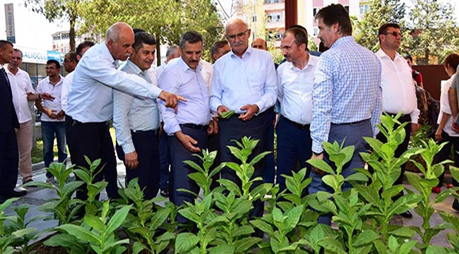 ÇOCUKLUK YILLARINDAKİ GİBİ TÜTÜN DİZDİ