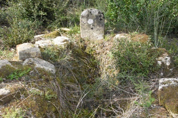 Şehit üsteğmenin mezarı 103 yıl sonra bulundu