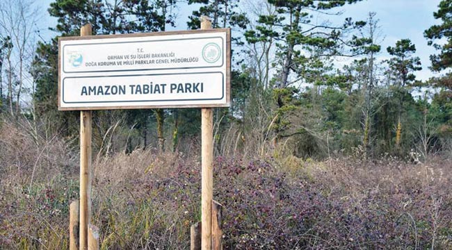 Diktiği Amazon kıyafetleri ilgi görüyor