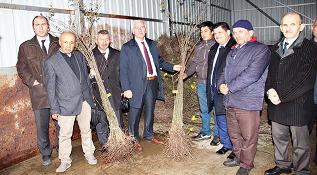 Büyükşehirden çiftçilere 4 bin kuşburnu fidanı