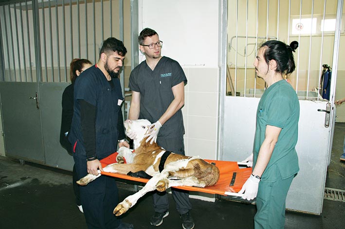 Yatılı hastane hizmeti ile  ölümler engelleniyor 