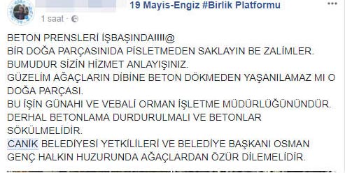 'Osman Genç ağaçlardan özür dilesin'