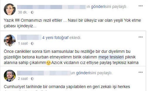 'Osman Genç ağaçlardan özür dilesin'