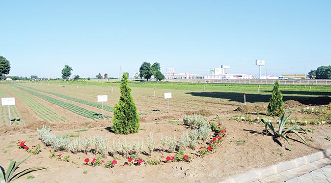 BURADA ÜRETİLEN FİDAN VE TOHUMLAR DOĞAYI AYAKTA TUTUYOR