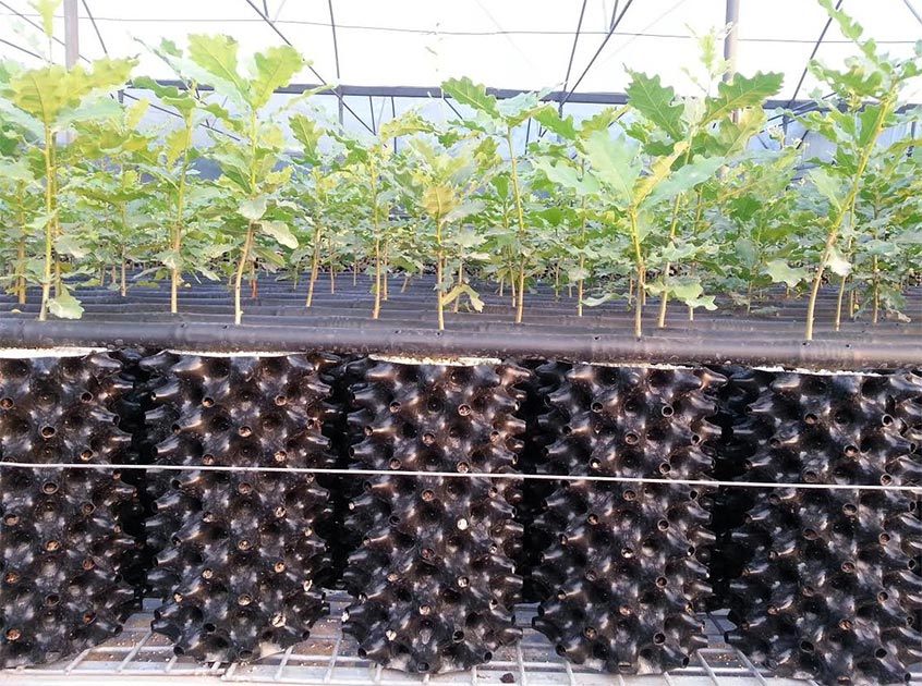 100 ila 3 bin 500 avro arasında fiyata alıcı buluyor