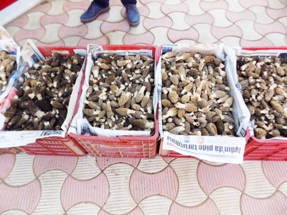 Bulan köşeyi dönecek! Herkes onu arıyor...