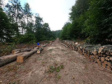 SAHİP OLDUĞUN TEK ZAMAN
