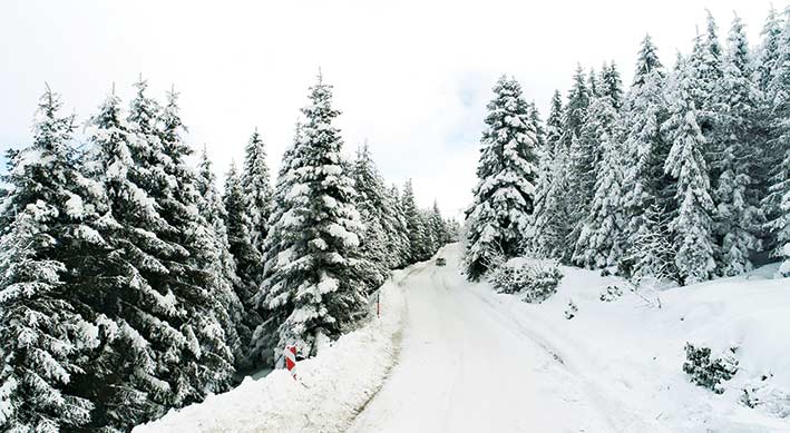 Doğa harikası yaylada piknik ve kayak keyfi
