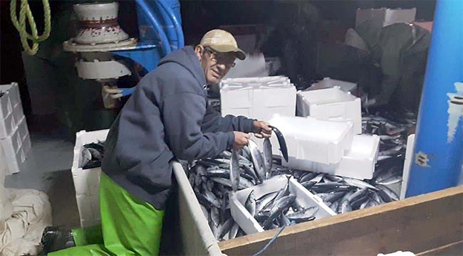 Kasalar dolusu balıklarla limana dönüyorlar